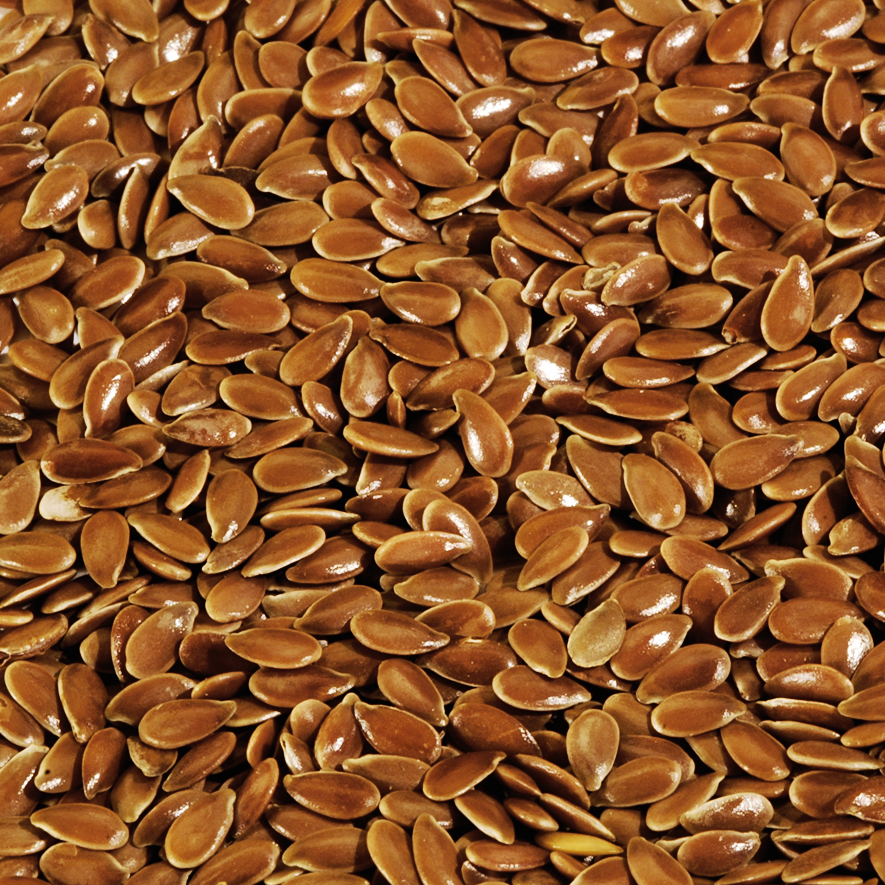 Graine de lin brun Bio